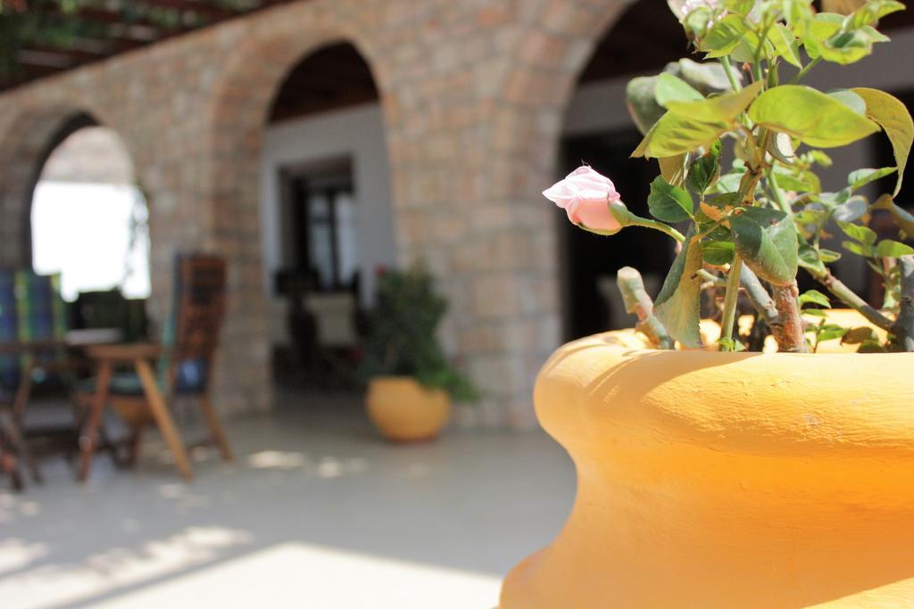 Hotel Delfini Adamantas  Zewnętrze zdjęcie